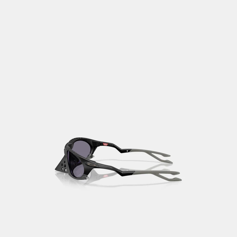 Plantaris - Image 3